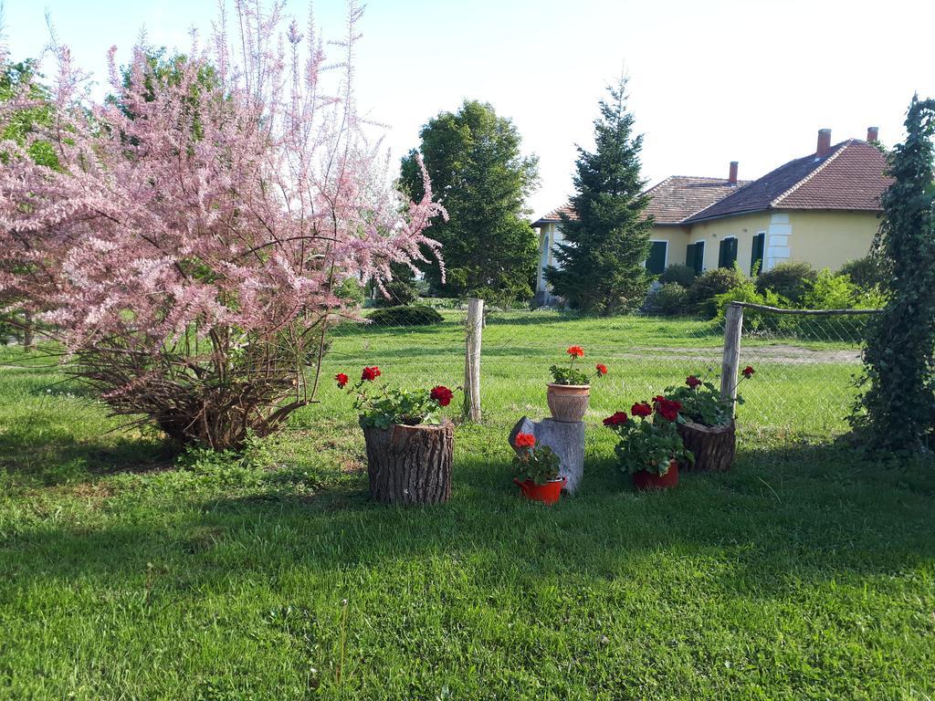 Véndektanya Vendégház Tapolca Exterior foto